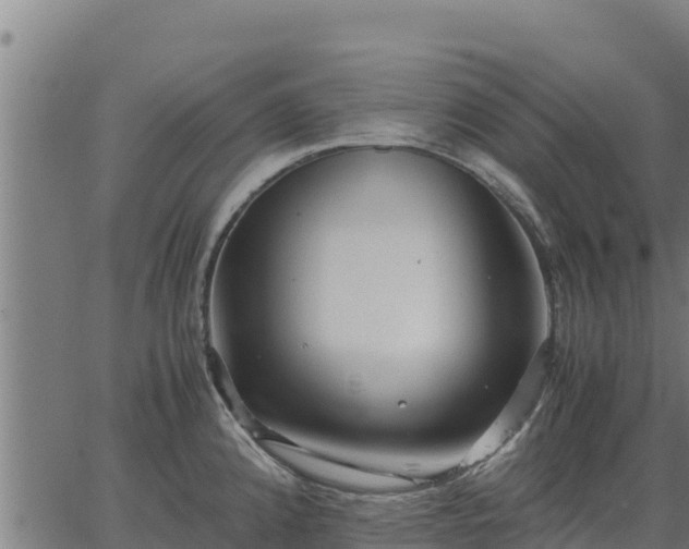 X0000067001192200603311606