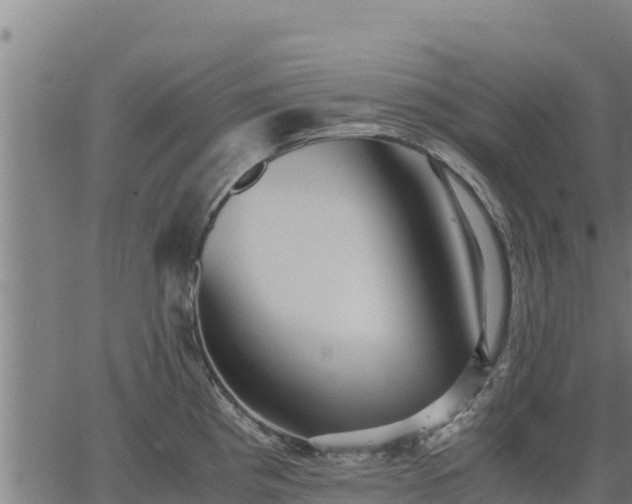 X0000067001193200603311606