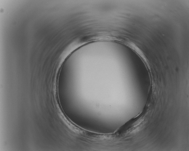 X0000067001195200603311606