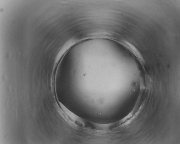 X0000067001196200603311606