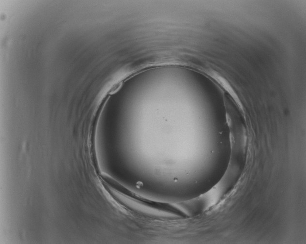 X0000067001197200603311606