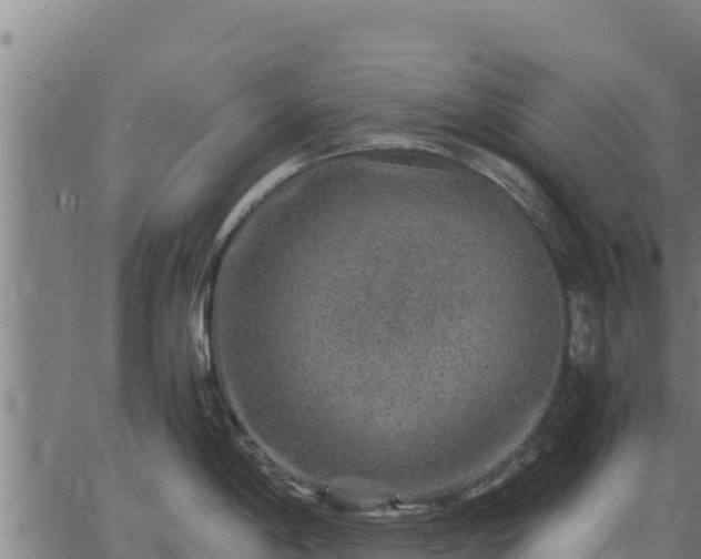 X0000067001198200603311606