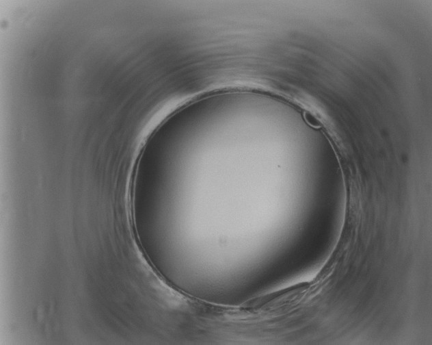 X0000067001199200603311606