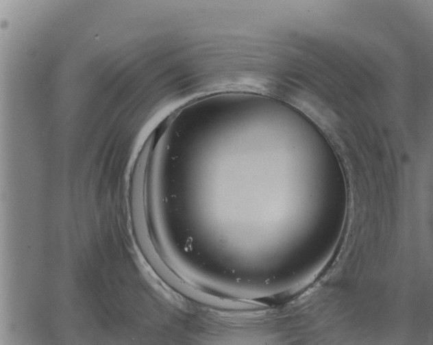 X0000067001200200603311606