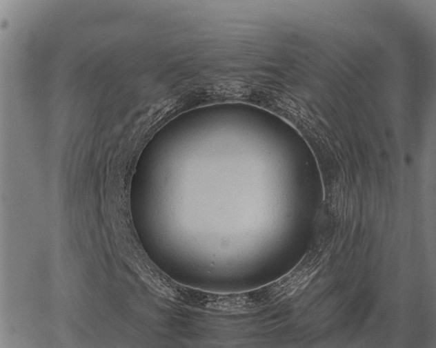 X0000067001201200603311606