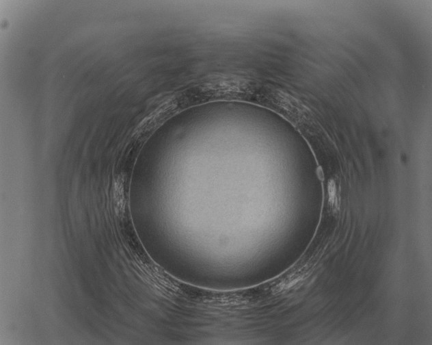 X0000067001203200603311606