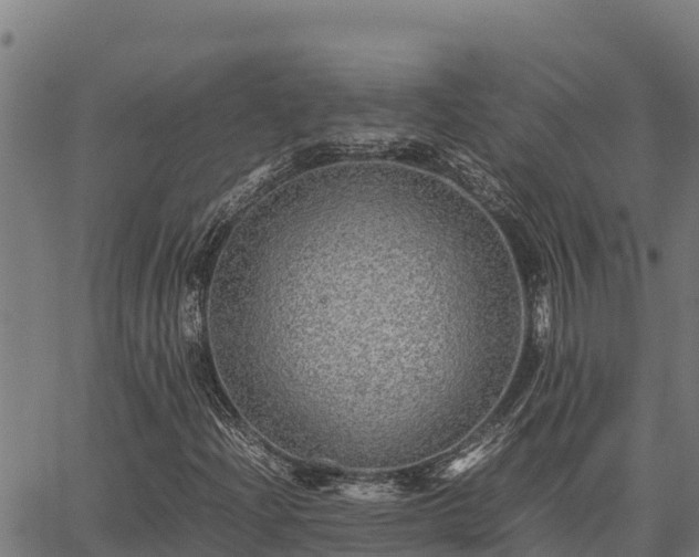 X0000067001204200603311606