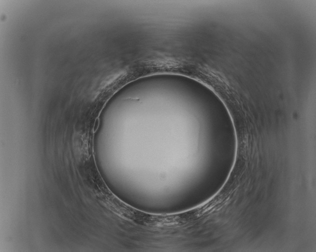 X0000067001205200603311606