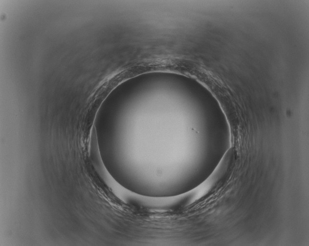 X0000067001206200603311606