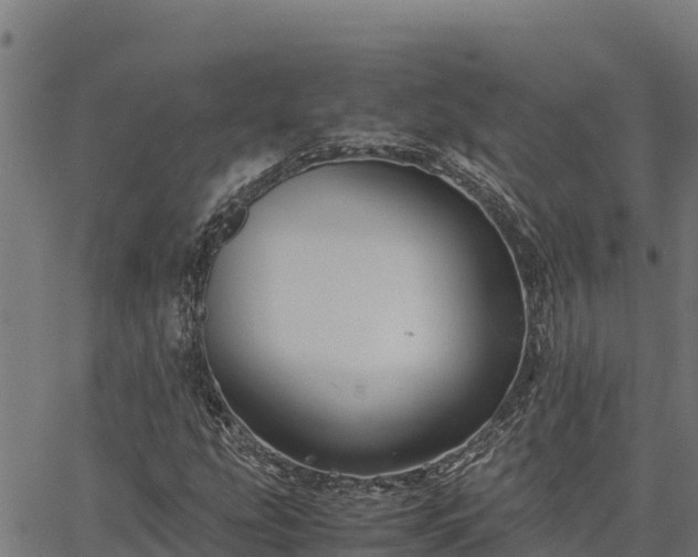 X0000067001207200603311606