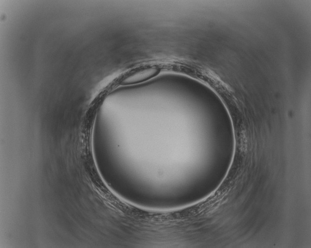 X0000067001208200603311606