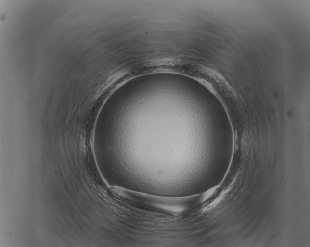 X0000067001209200603311606