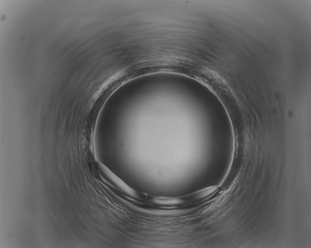 X0000067001210200603311606