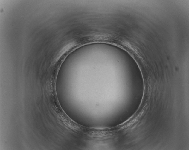 X0000067001211200603311606