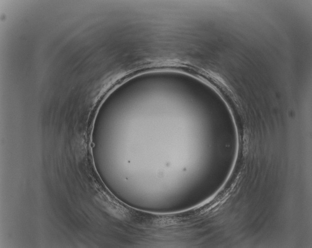 X0000067001212200603311606