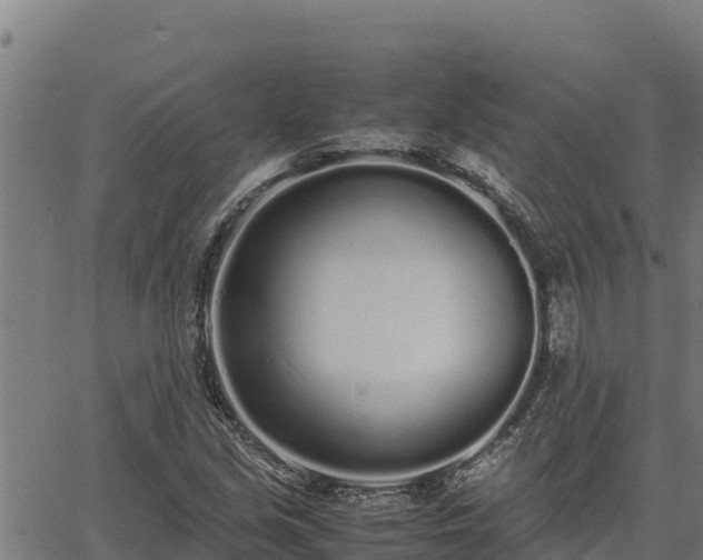 X0000067001213200603311606