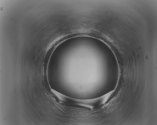 X0000067001214200603311606