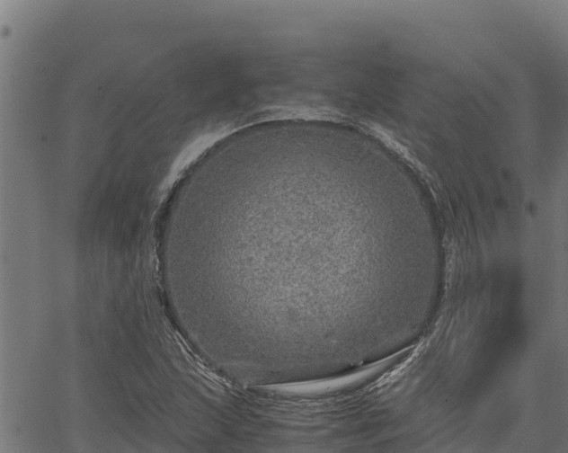 X0000067001215200603311606