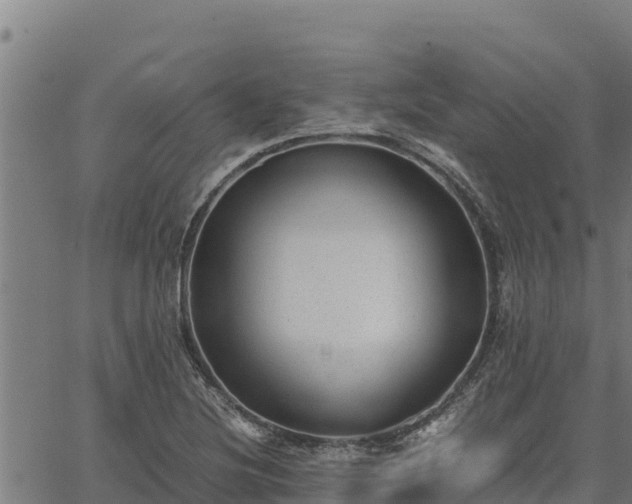 X0000067001220200603311606