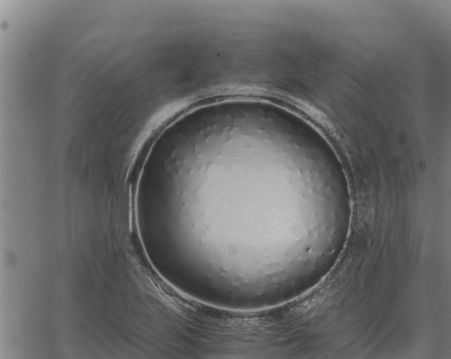 X0000067001223200603311606