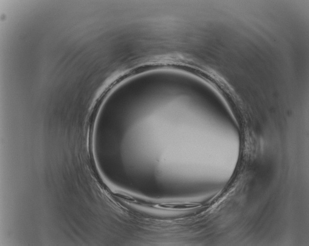 X0000067001224200603311606