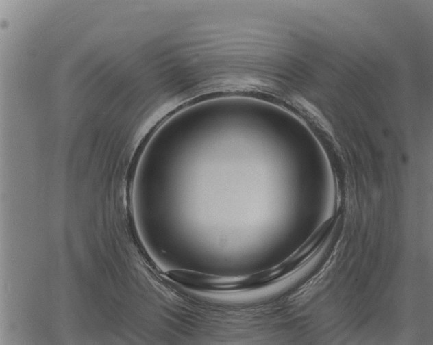 X0000067001226200603311606