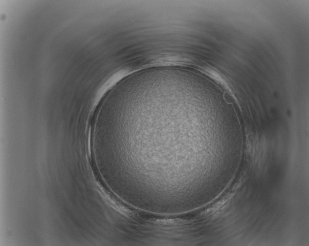 X0000067001227200603311606