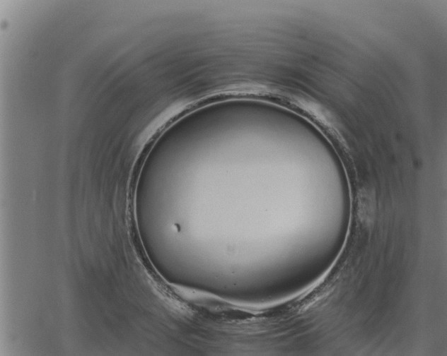 X0000067001229200603311606