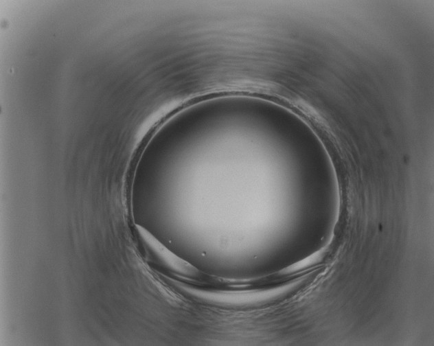 X0000067001230200603311606