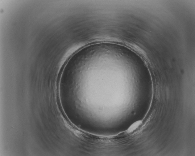 X0000067001231200603311606