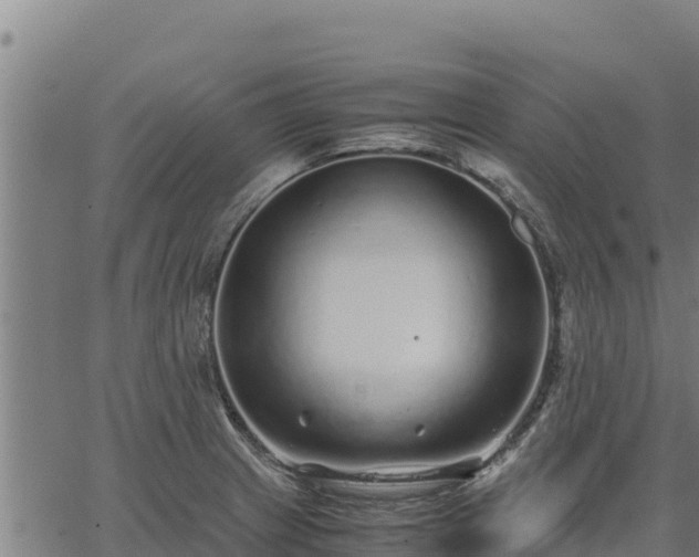 X0000067001233200603311606