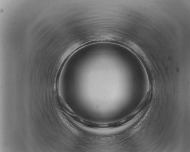 X0000067001234200603311606