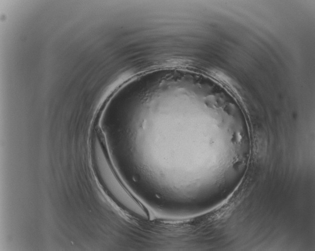 X0000067001235200603311606