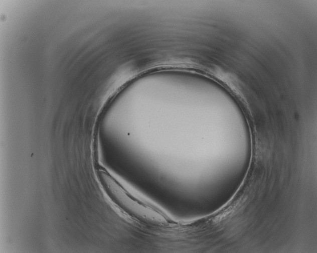 X0000067001237200603311606