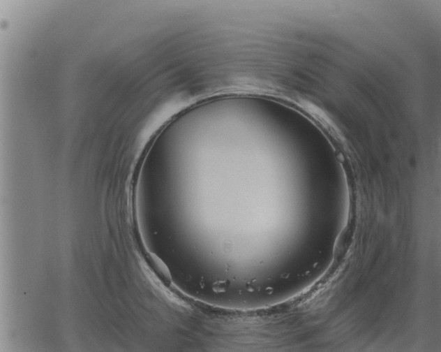 X0000067001238200603311606