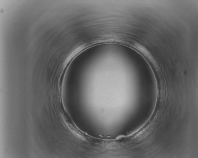 X0000067001242200603311606