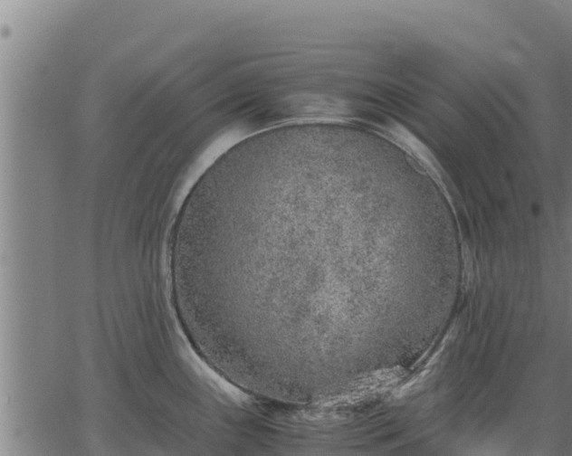 X0000067001243200603311606