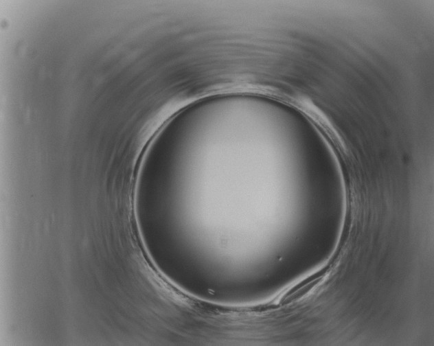 X0000067001244200603311606