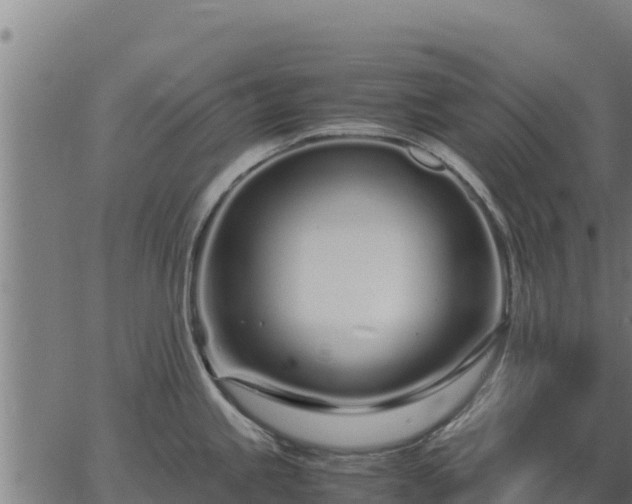 X0000067001245200603311606