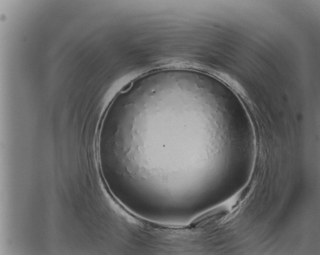 X0000067001247200603311606