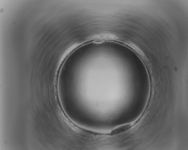 X0000067001248200603311606