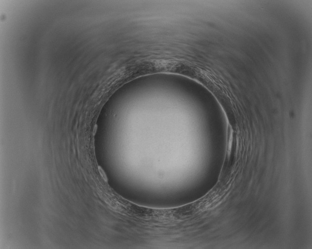 X0000067001249200603311606