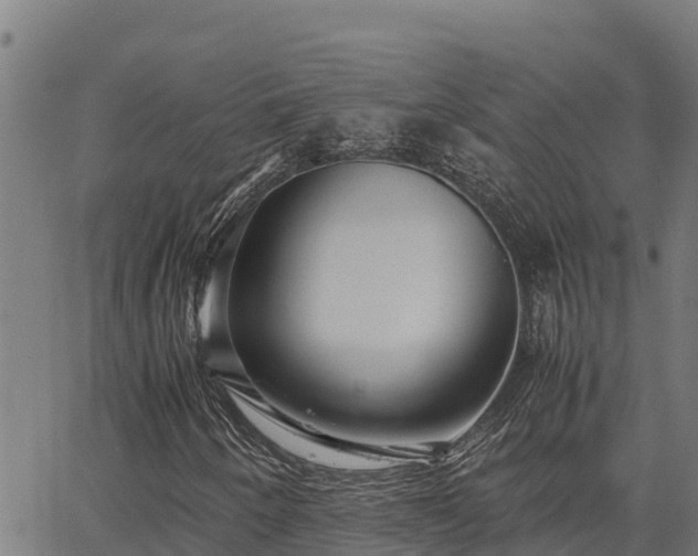 X0000067001250200603311606