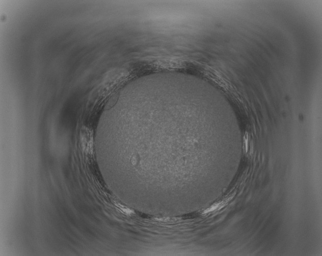 X0000067001251200603311605