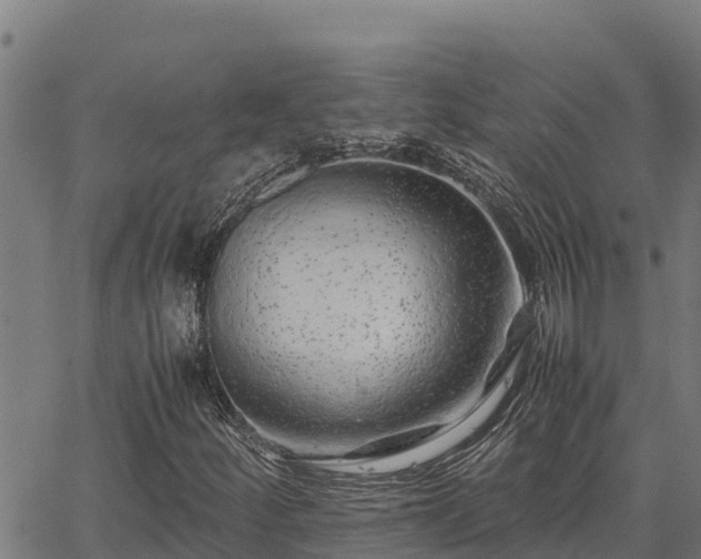 X0000067001252200603311605