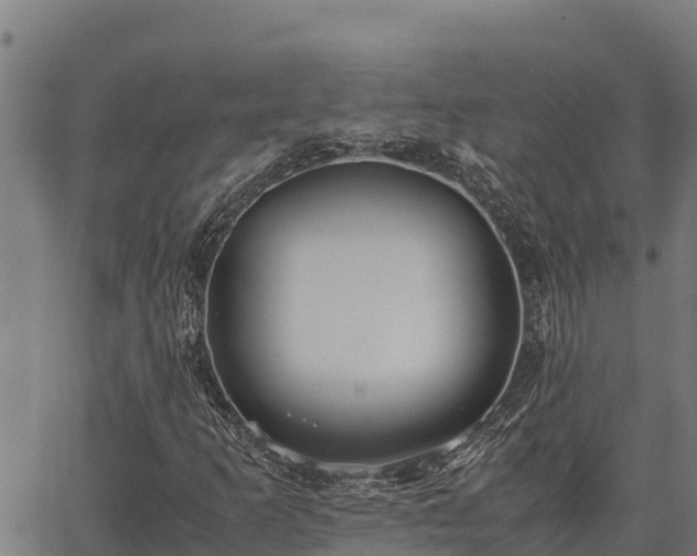 X0000067001253200603311605