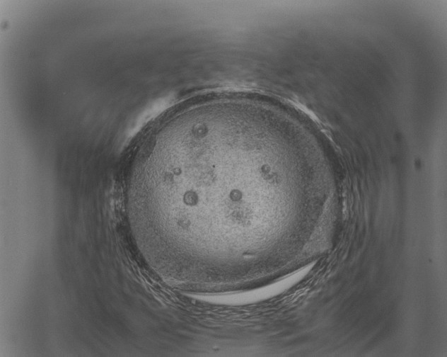 X0000067001255200603311605