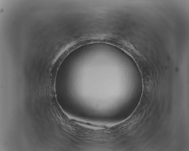 X0000067001256200603311605