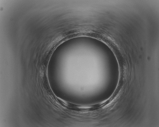 X0000067001257200603311605