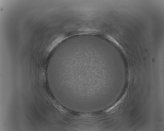 X0000067001259200603311605